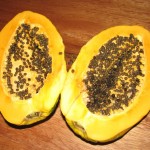 2009-08-Papaya